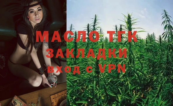 винт Пересвет