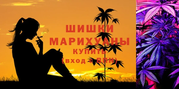 винт Пересвет