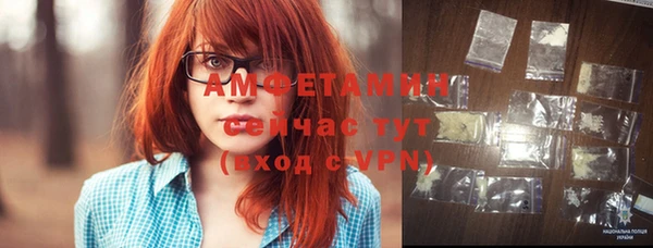 винт Пересвет